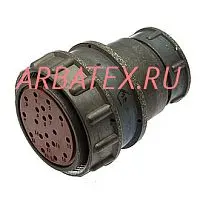 2РМДТ36КПЭ20Г6В1В розетка фото